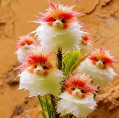 ✨LAST DAY 60% OFF - Magical plants! Cat's eye dazzling series